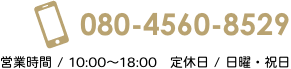 080-4560-8529